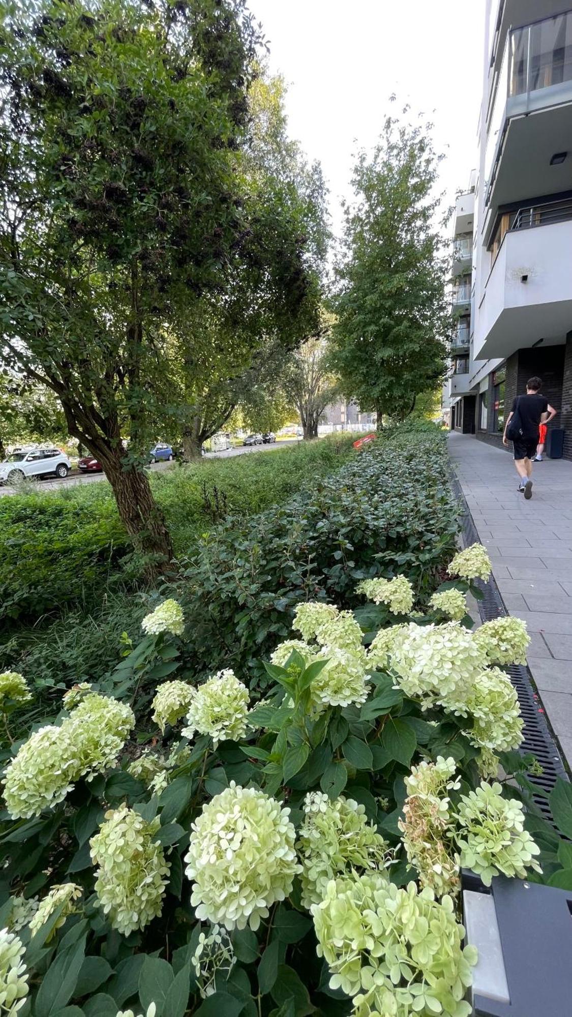 Apartamenty Warszawa Centrum Wlodarzewska 30 Екстер'єр фото